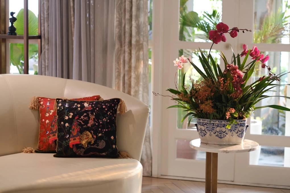 Cách bài trí lan hồ điệp chuẩn sang ngày Tết